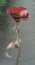 Blume,dunkelrot