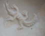 Schlchen Fossil Detail4